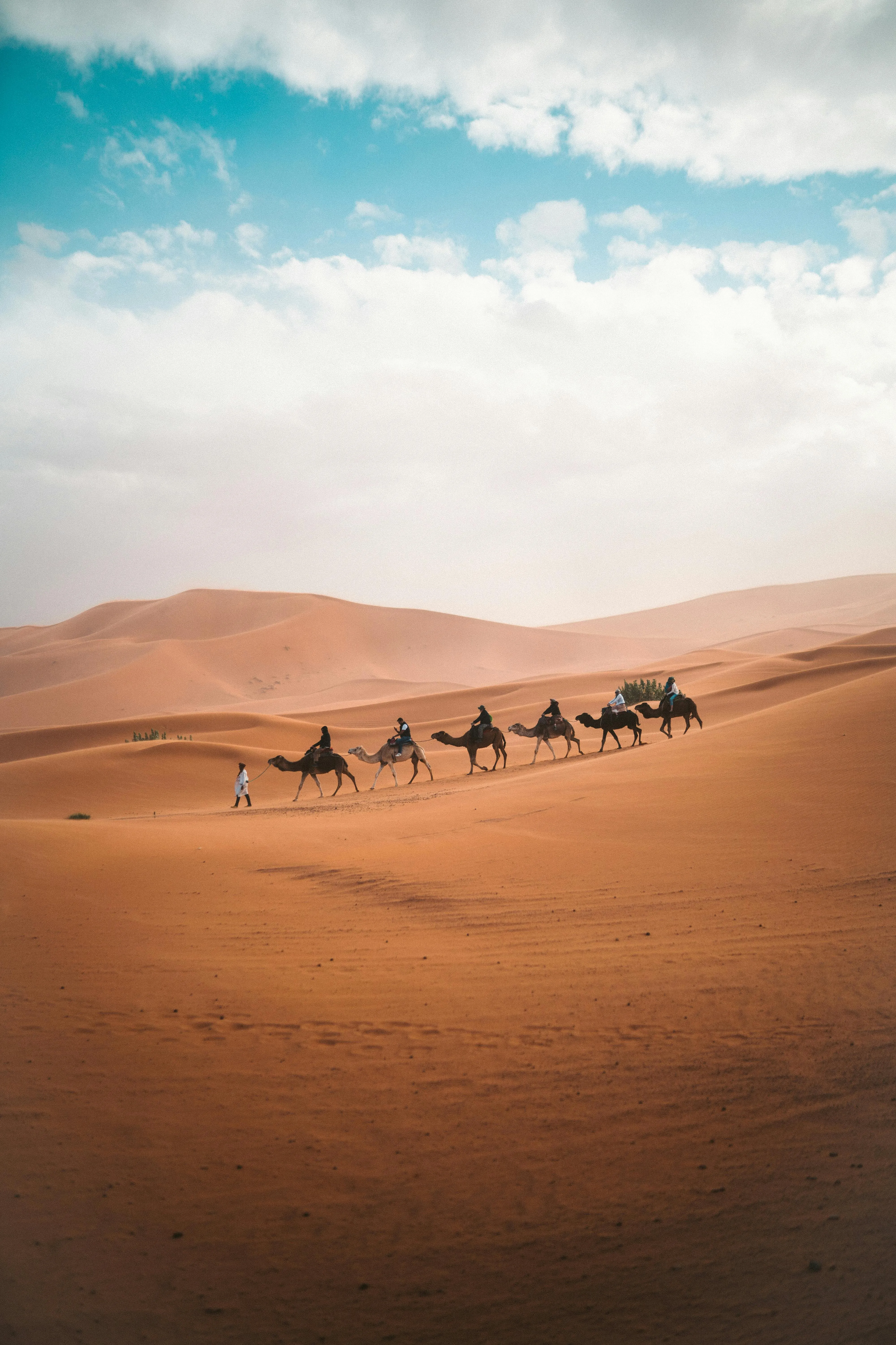 Desert Expedition